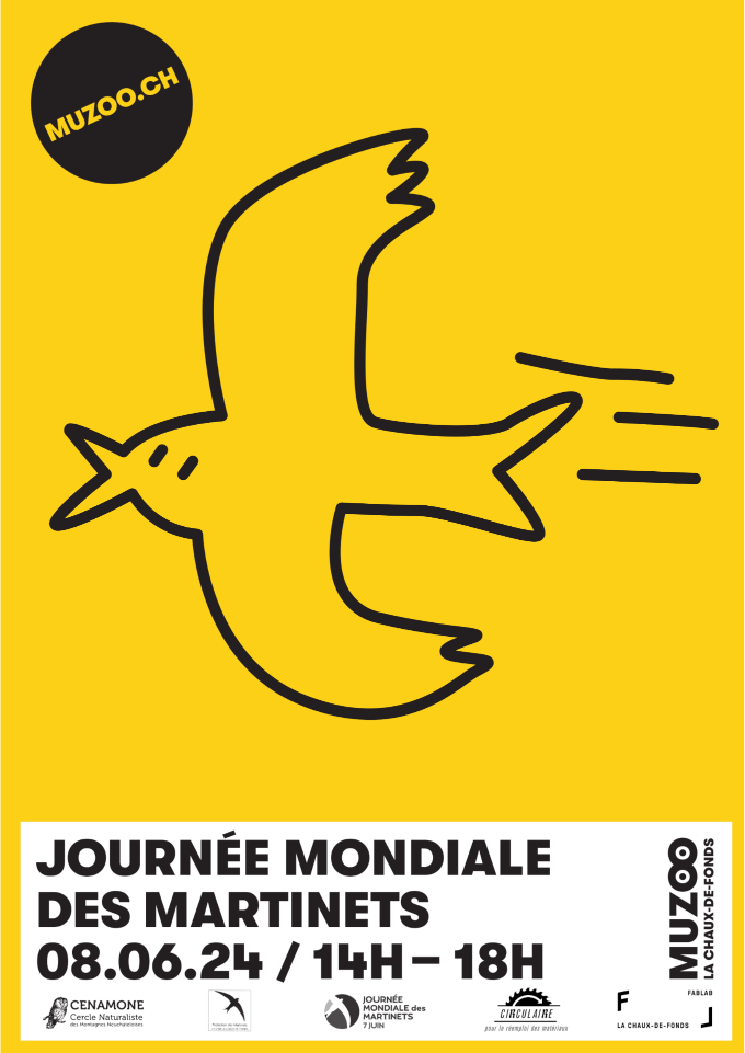 Journée mondiale des martinets